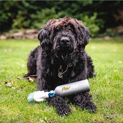 Paw Mate, clean your furry (and human) paws with ease