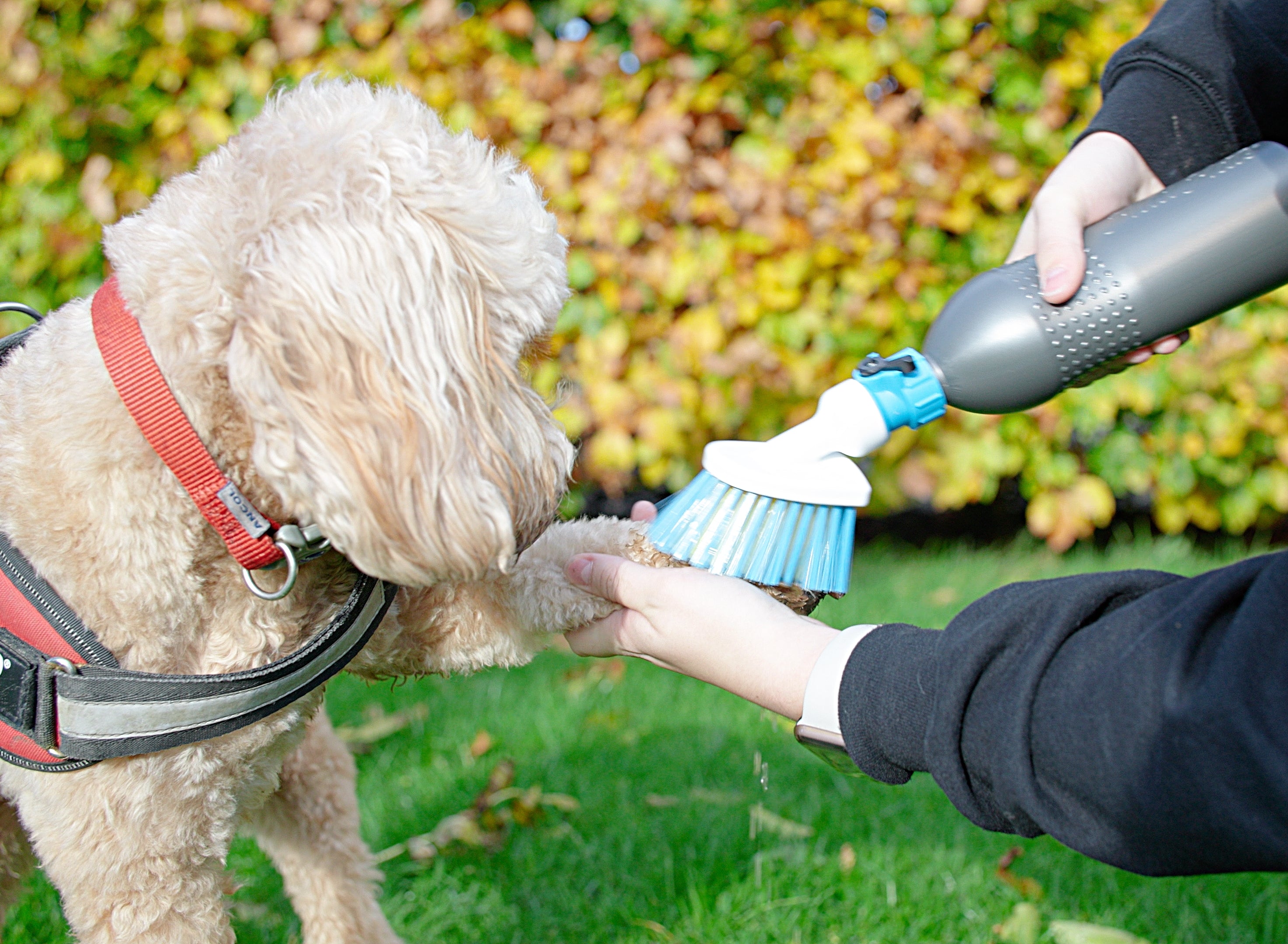 Paw Mate, clean your furry (and human) paws with ease
