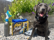 Paw Mate, clean your furry (and human) paws with ease