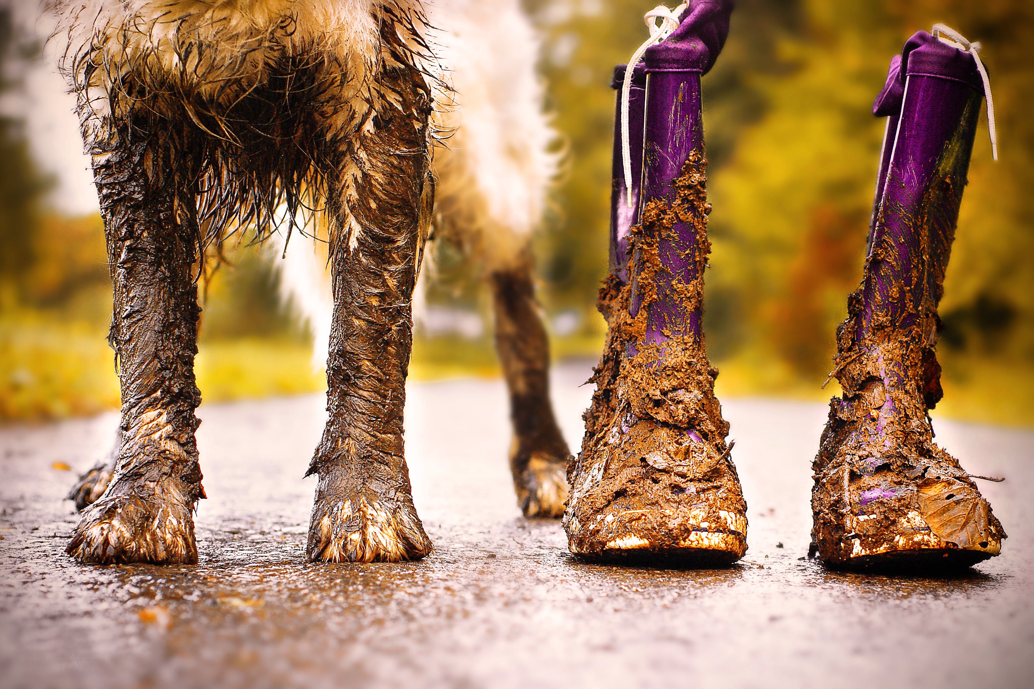 shutterstock_495479383_2_034c2c15-6ce5-43fd-9e1a-6cc0be541a02.jpg